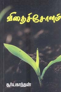 விதைச் சோளம்