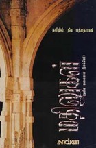 மதிலுகள் (நவீன மலையாள இலக்கியம்)