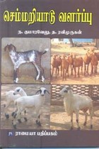 செம்மறியாடு வளர்ப்பு