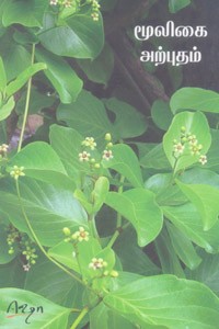 மூலிகை அற்புதம்