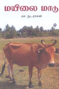 மயிலை மாடு