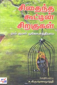 சிதைந்த கூட்டின் சிறகுகள்