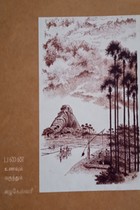 பனை உணவும் மருந்தும்