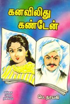 கனவிலிது கண்டேன்