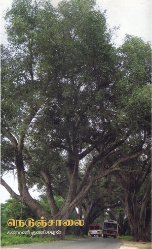 நெடுஞ்சாலை