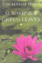 Sunshine & Green Leaves