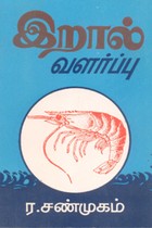 இறால் வளர்ப்பு