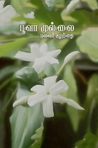 பூவா முல்லை