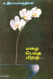 மழை பெய்த பிறகு....