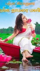 தங்க தாமரை மலரே (Thanga Thamarai Malare): விஸ்வேஸ்வரன் - கமலினி (Tamil Edition)