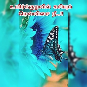 உயிர்க்குழலில் கசியும் மெல்லிசை நீ...!! (Tamil Edition)