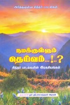 நமக்குள்ளும் தெய்வம் (சித்தர் பாடல்களின் இரகசியங்கள்)