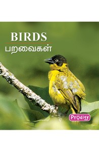 பறவைகள்